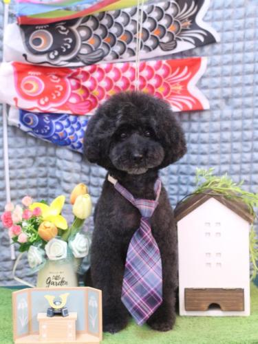 20230527ラブくん